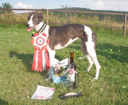 Gadův Memoriál, CACIL, CACT (25.-27.7.2014) - Rejvíz